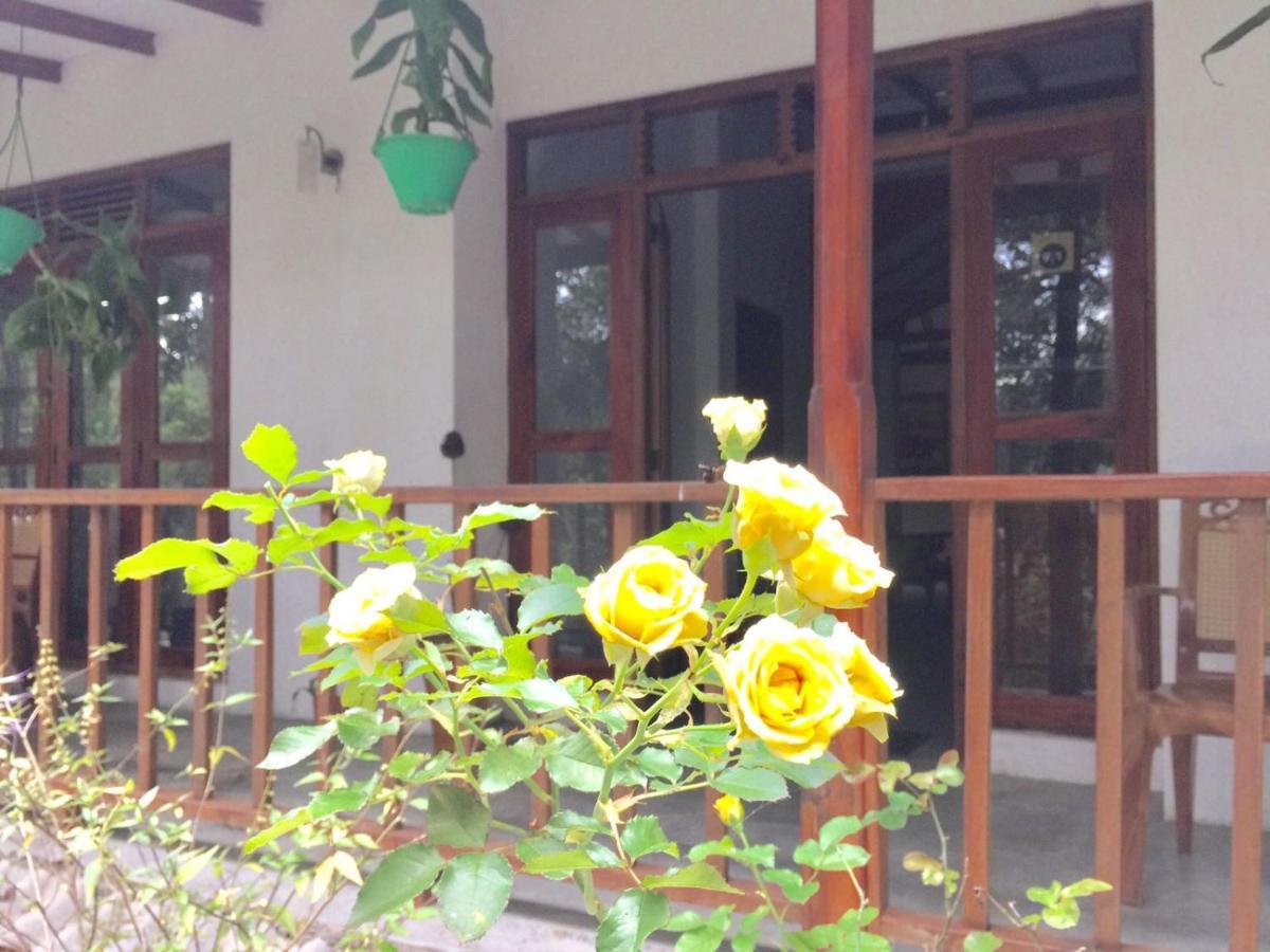 Ella Nature Nest Exterior foto