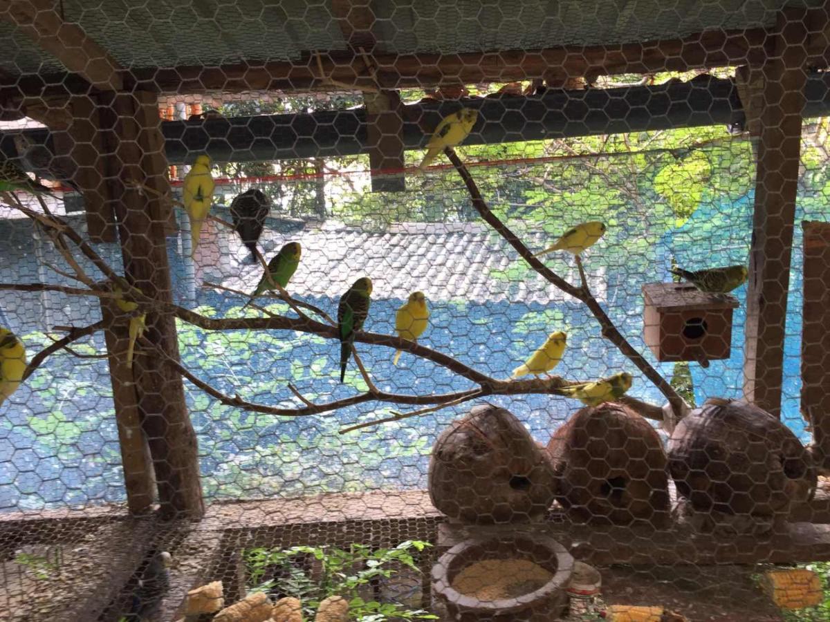Ella Nature Nest Exterior foto