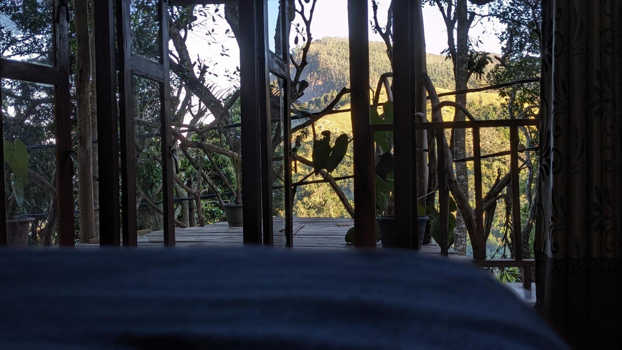 Ella Nature Nest Habitación foto