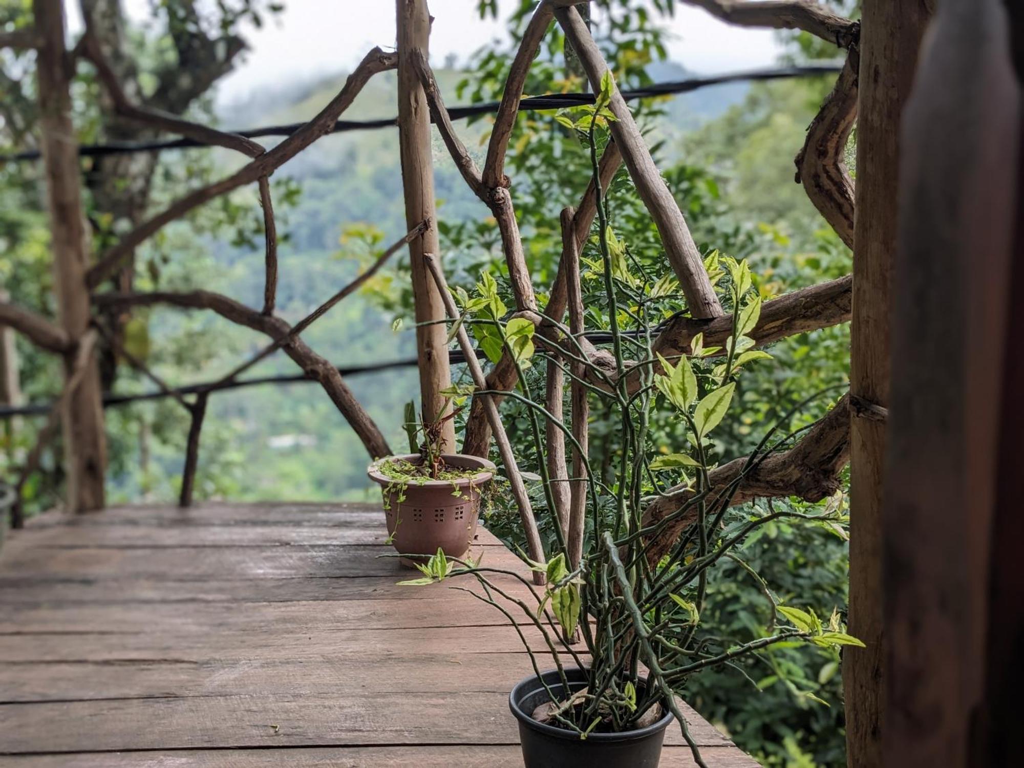 Ella Nature Nest Exterior foto